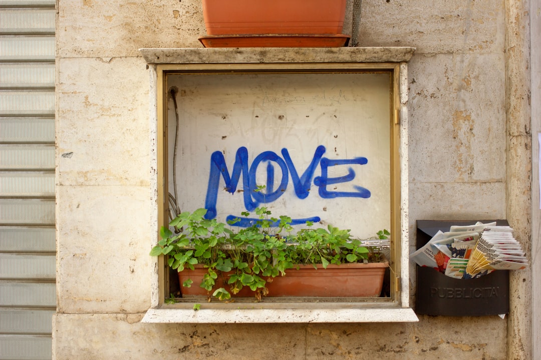 services-02 a-potted-plant-in-a-window-with-the-word-move-painted-on-it-ju2gghxz6k0